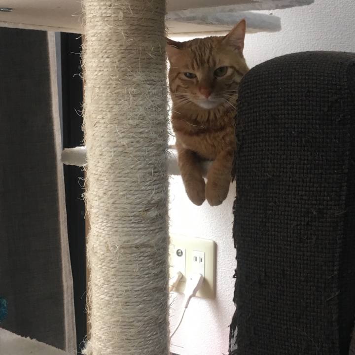 66125172 c556 43e8 9764 f6b22ca33cd2