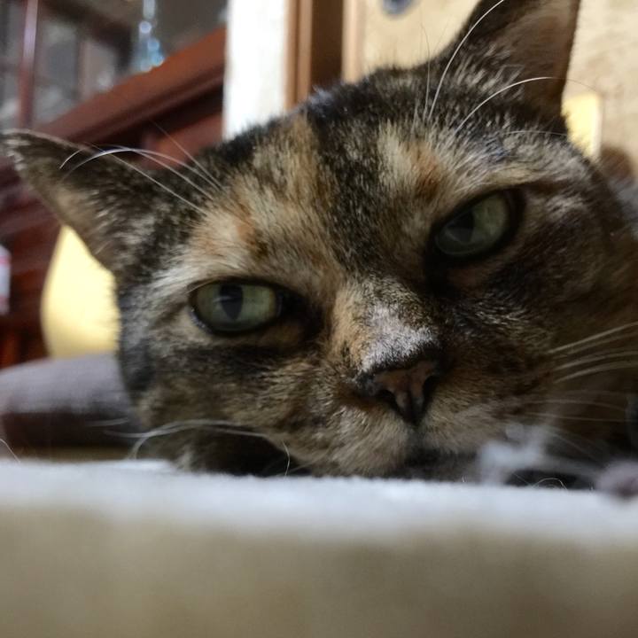 661286bb 4e28 45e8 8ba0 ea3f77c30285