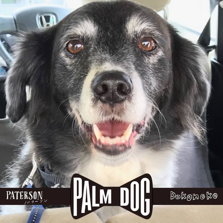 6612c34f b540 41f9 92a1 d6a557b18306