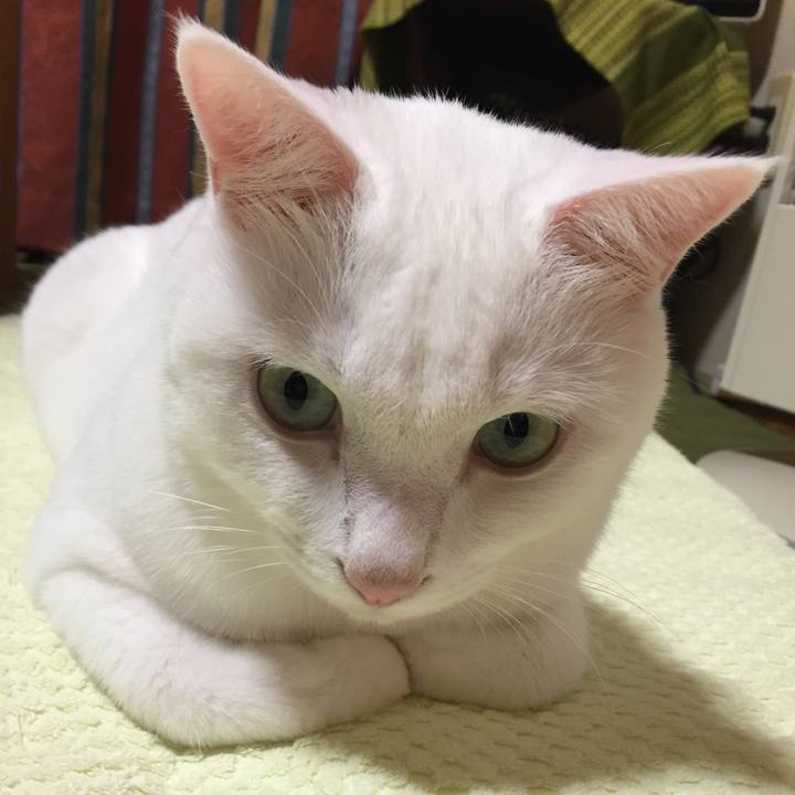 6614102b 4e06 4ec5 99c1 9035a8b77a3f