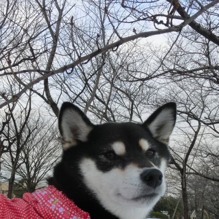 66142877 57c0 4269 ac85 e1641ad9a42d