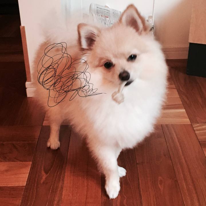 66146a9c 6c59 40f0 8f9f d3c67c8e7636