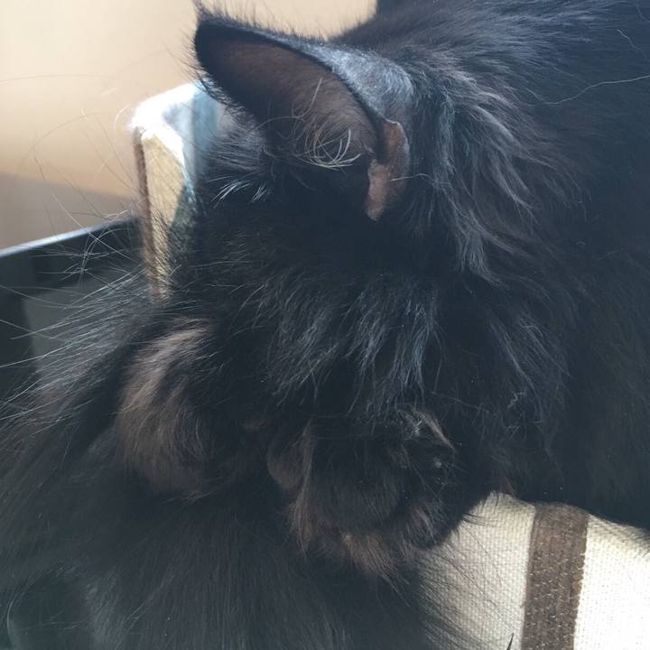 6614cf26 d472 4dcf b4e1 9aafbecd9167