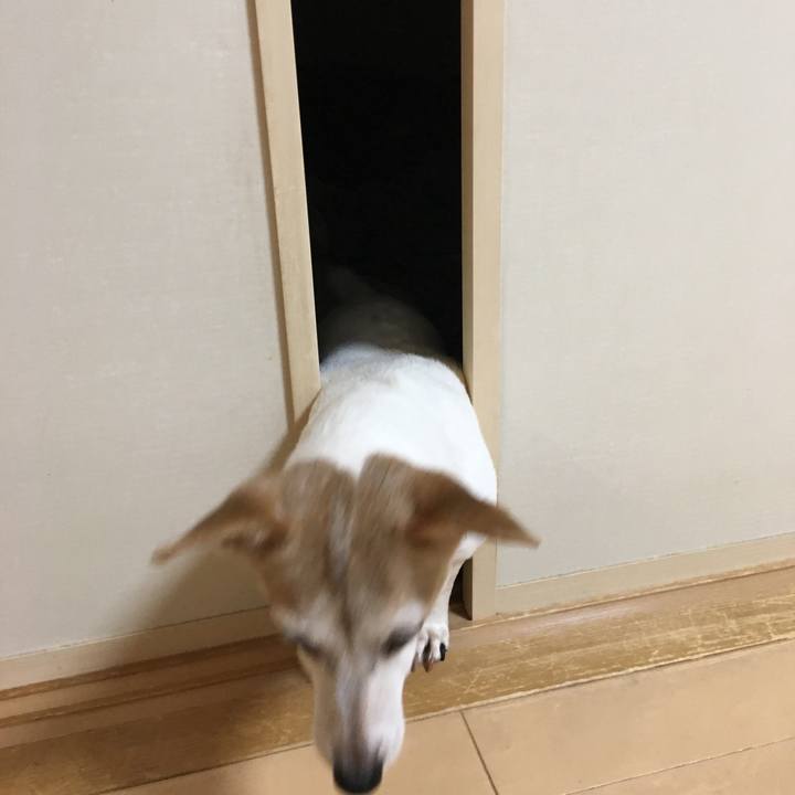 66155b2d 3095 49a4 ab34 8fb9f866f3f7