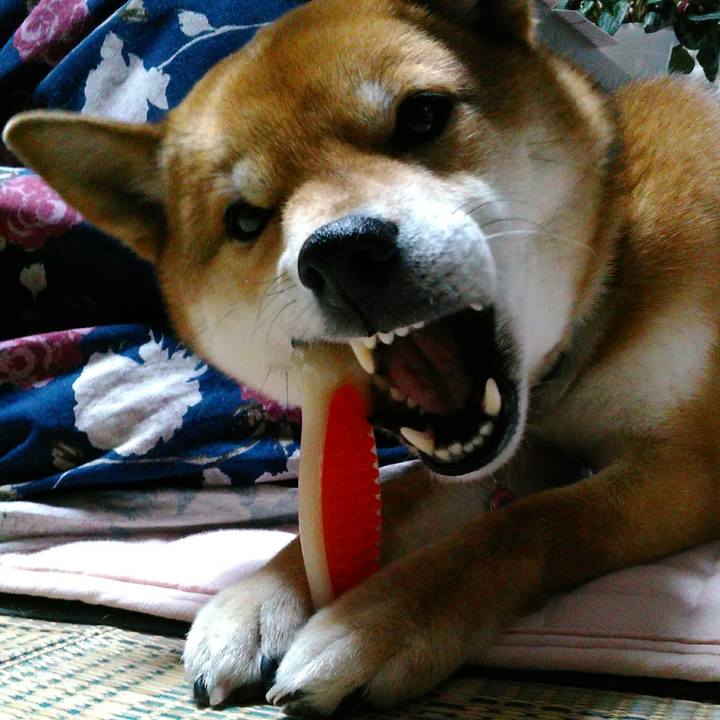 6615aae7 71fc 477f 8abd 4e22d9fc832d