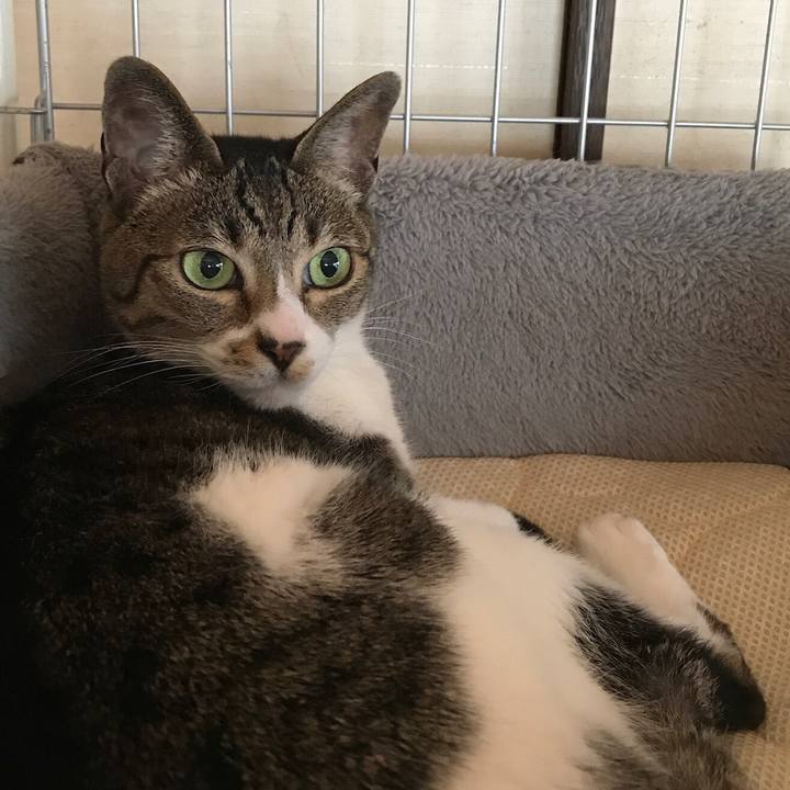 661682e2 ab6d 4d39 99dc 89e8224d4c27