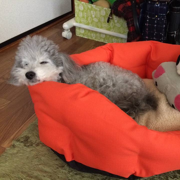 6616e6e3 745e 40ba a87d 7b1205b6cd15