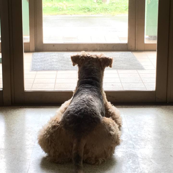 66170910 0c38 430c ac57 610b2fb39803