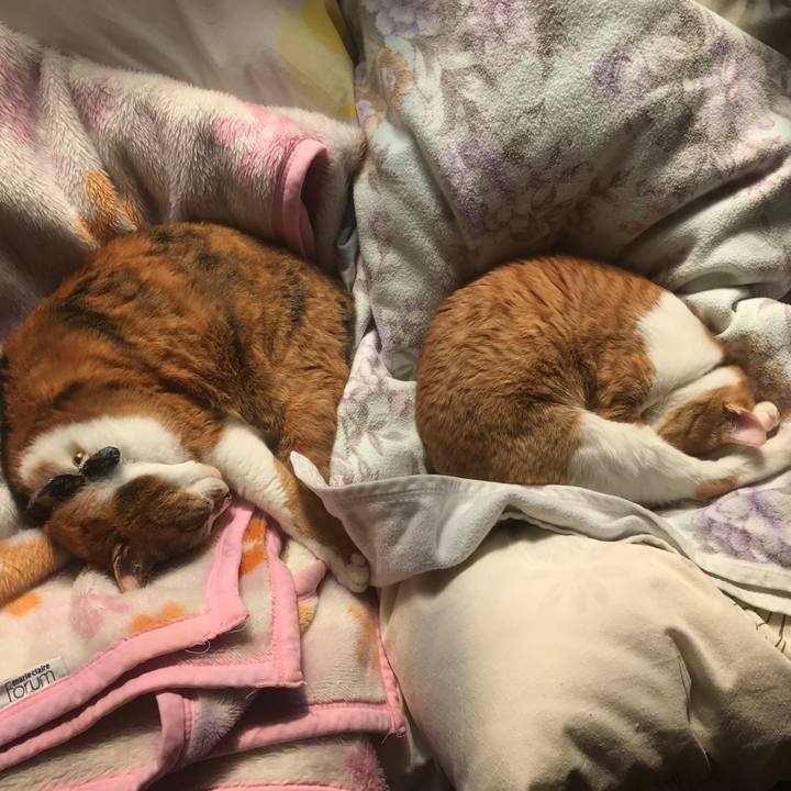 66171b6d a58f 439c 8939 038de4bf86b0