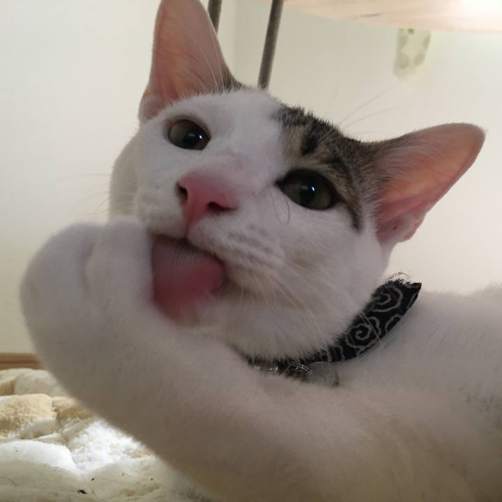 66176d21 d83b 445a 8457 34d8b744e94f