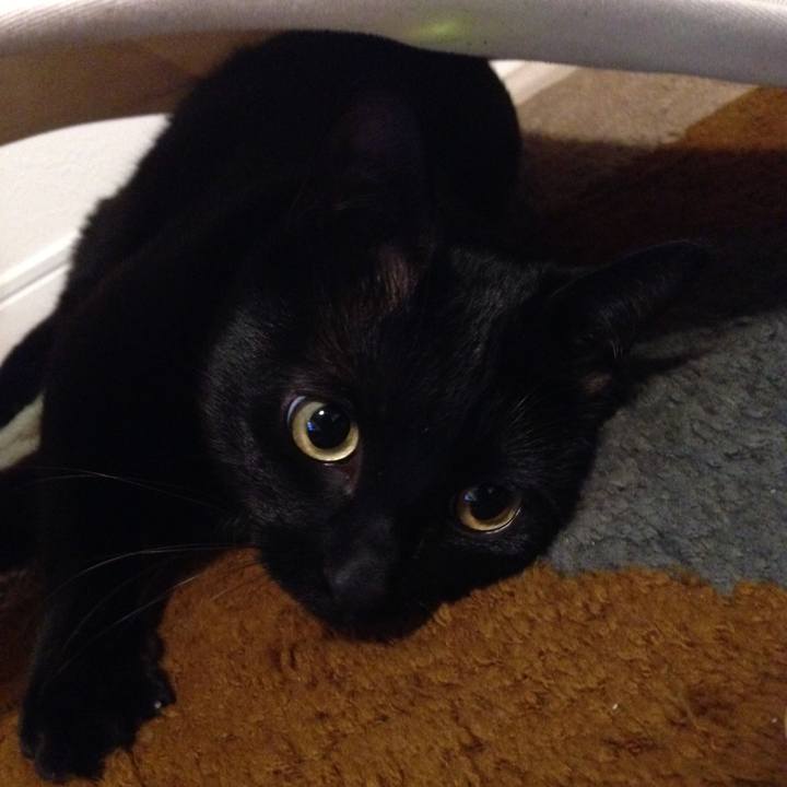 6617df75 88fb 4c85 b414 5b654062d406