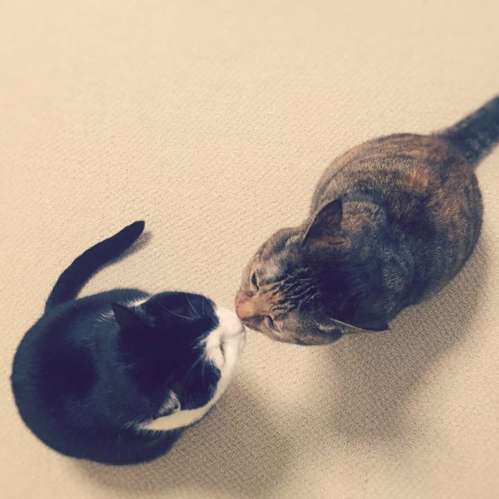 661898f9 92bb 499c 957f 208eefabfb50