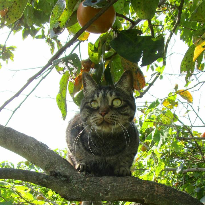 6619169a dea9 4405 ab65 245b81a72807