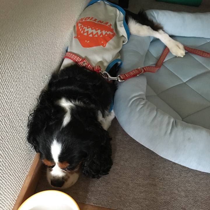 66193e3b 2180 49a7 9122 946fa4edd7d1