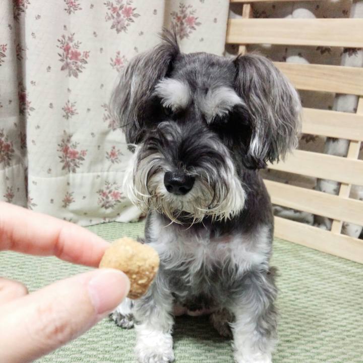 6619d91c 83c4 44b3 9311 fa06e4b12d0f