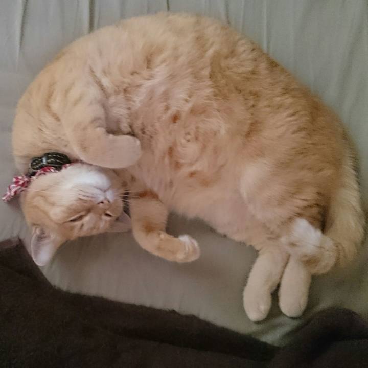 661a0422 fb7b 4772 99b0 c4f348ce71ec