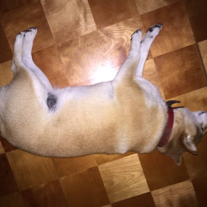 661adee0 7bea 4e85 854a a401cc4cc339