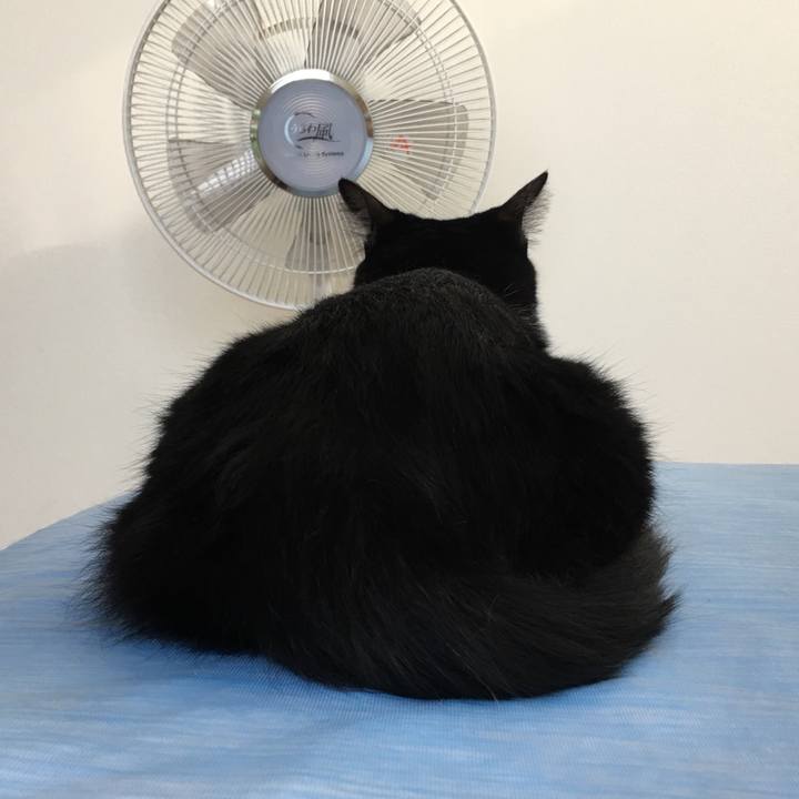 661ae1cd 8d1d 4b50 b4b9 6d765ad45a06