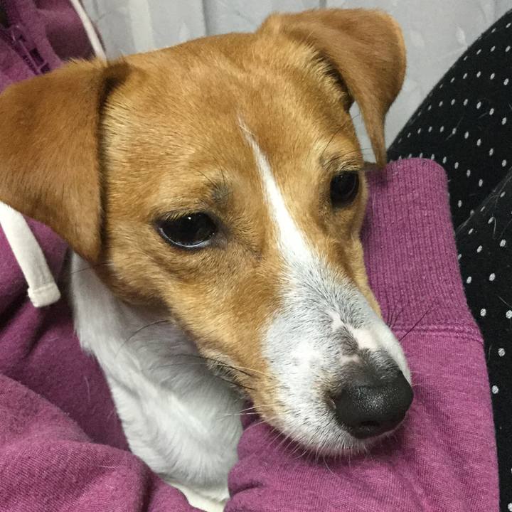 661b5aa7 d1a6 4ccb a2a5 86fb44de1806