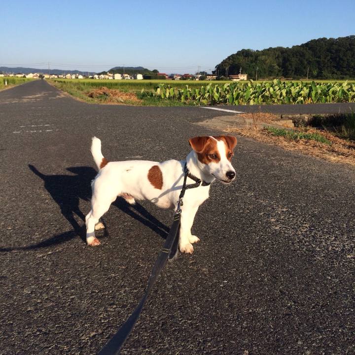 661bf63e c632 45b4 a0a9 32e2e3d497da