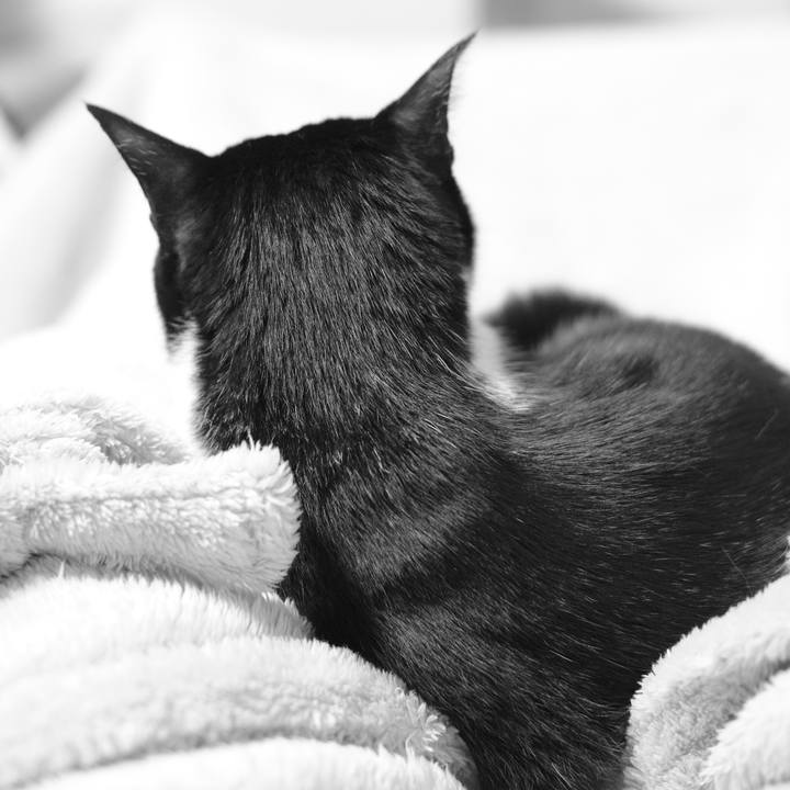 661cd1f1 f8f1 4f91 acbd 7f7eaab29066