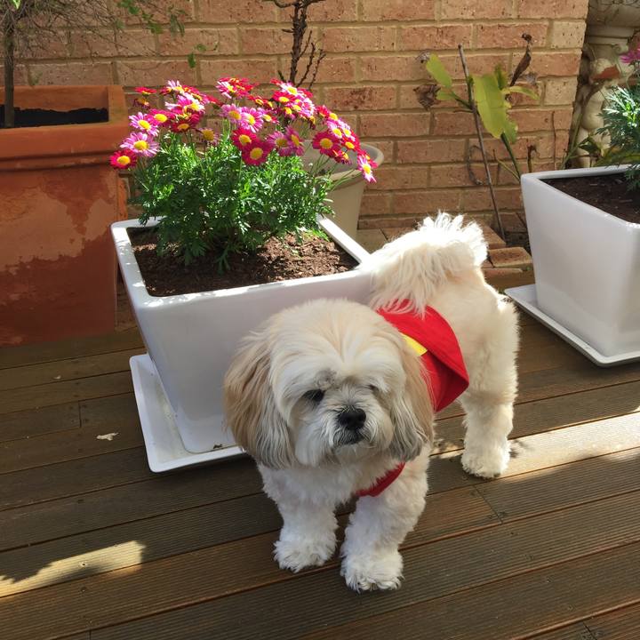 661d2d82 7140 438d b596 fcde06e85f57