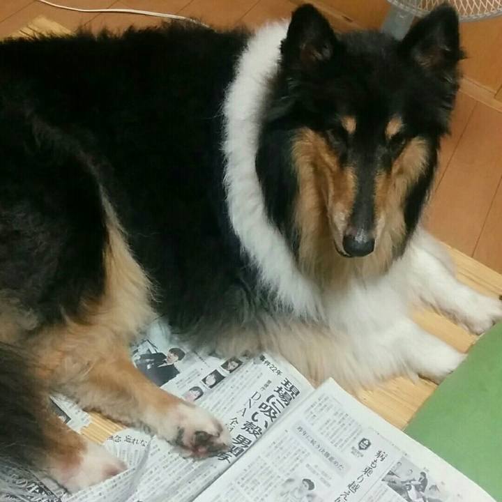 661d8639 57ca 4643 9334 833569f0d356