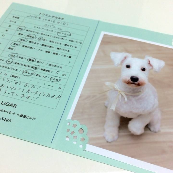 661db176 937a 43c9 a511 c3ec1e8ebb99