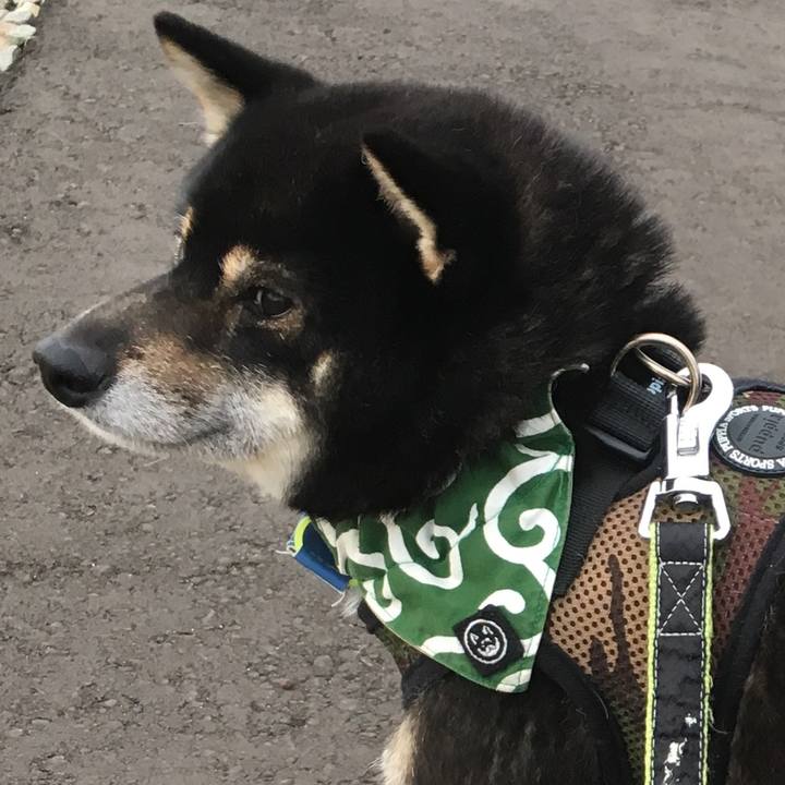 661db75a 2f79 450c bf10 ea6f03e32d0c