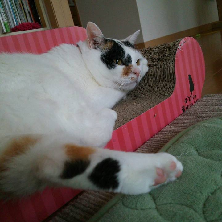 661db8b7 13b7 4e6b b66a a5949bc02010