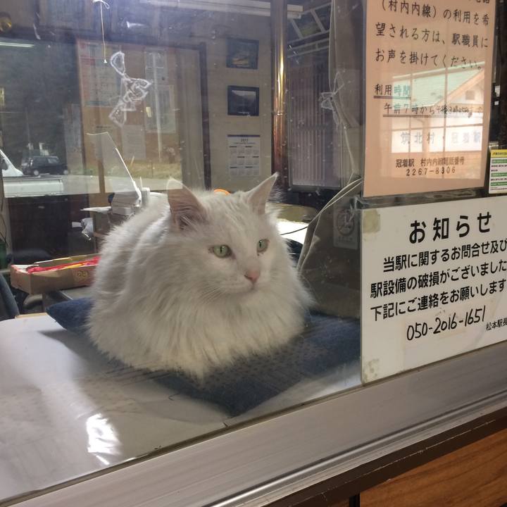 661ddcb6 86b8 4f13 bb41 de0bfead7446