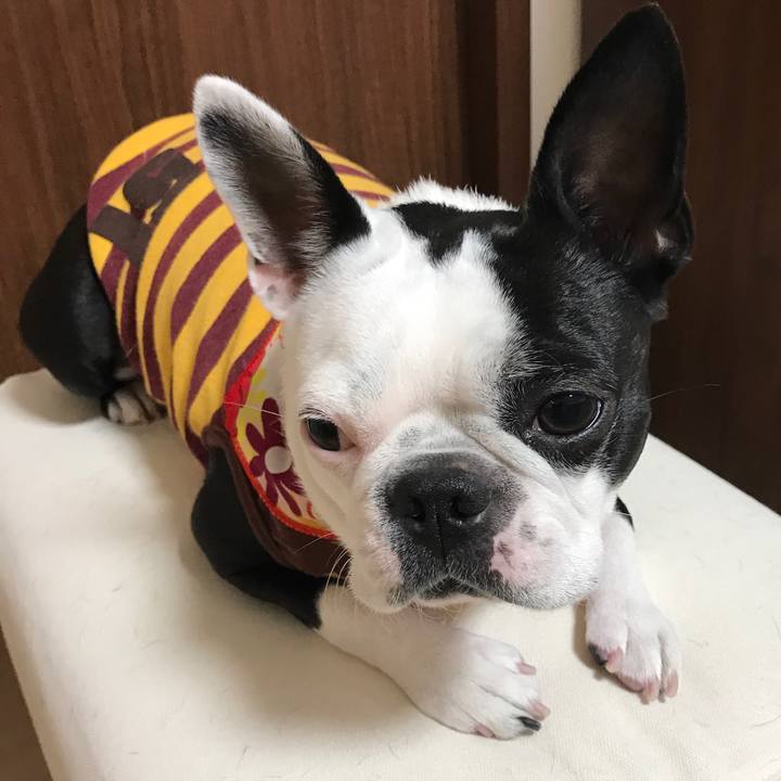 661e7efa bed4 43be 9b66 61f59daad7e1