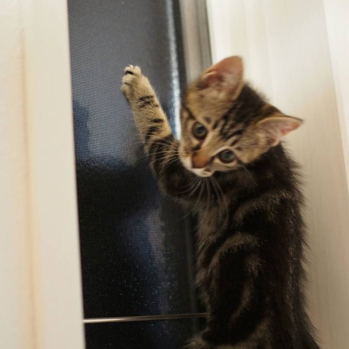 661efb50 e24a 465b 8ce1 a5a5a62ff98c