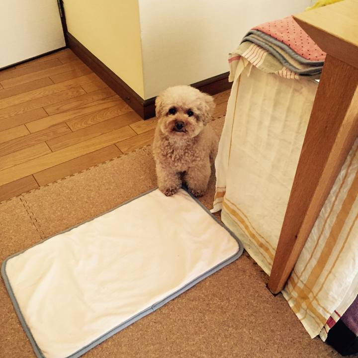 661f508d 11a5 471e a975 b0ee74cd186e