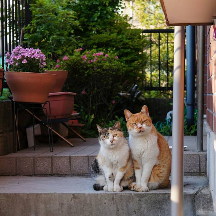 661fae58 d2df 426b 8f70 55d03b8a49b1