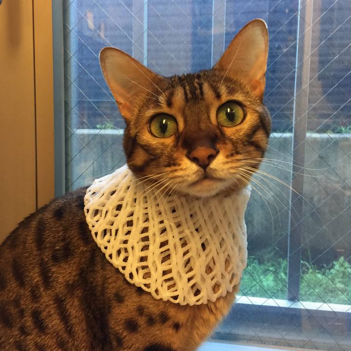 66201eca 289e 40f8 9070 2a8963de79bf