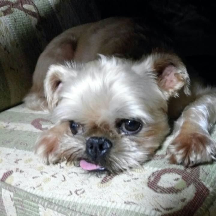 66217f79 154d 488c a814 ba2ddc53260d