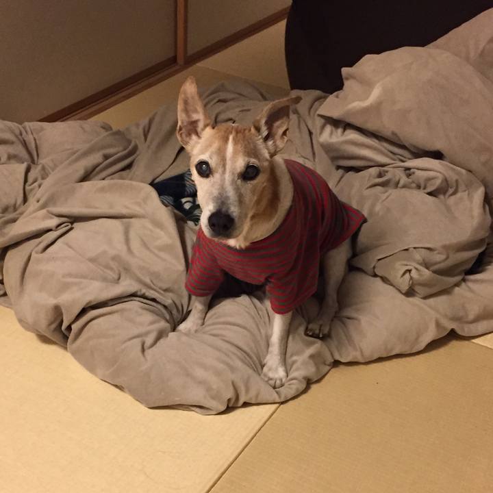 6621d23b 81c5 444c b0a0 496e897ad2cf