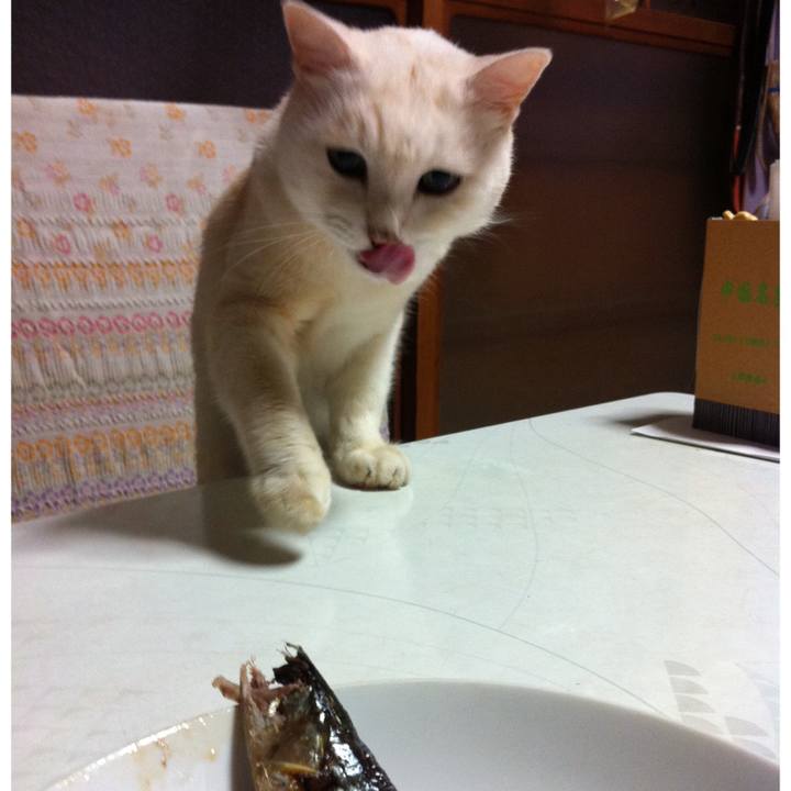 66221610 e473 4fb9 934f 74280d267c17