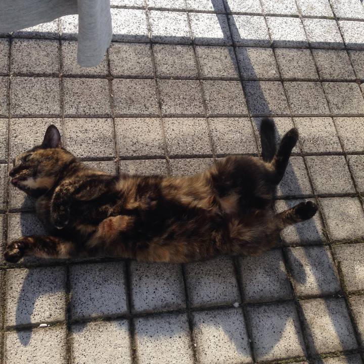 662217de 4303 460b bb2a 0b62bad84812