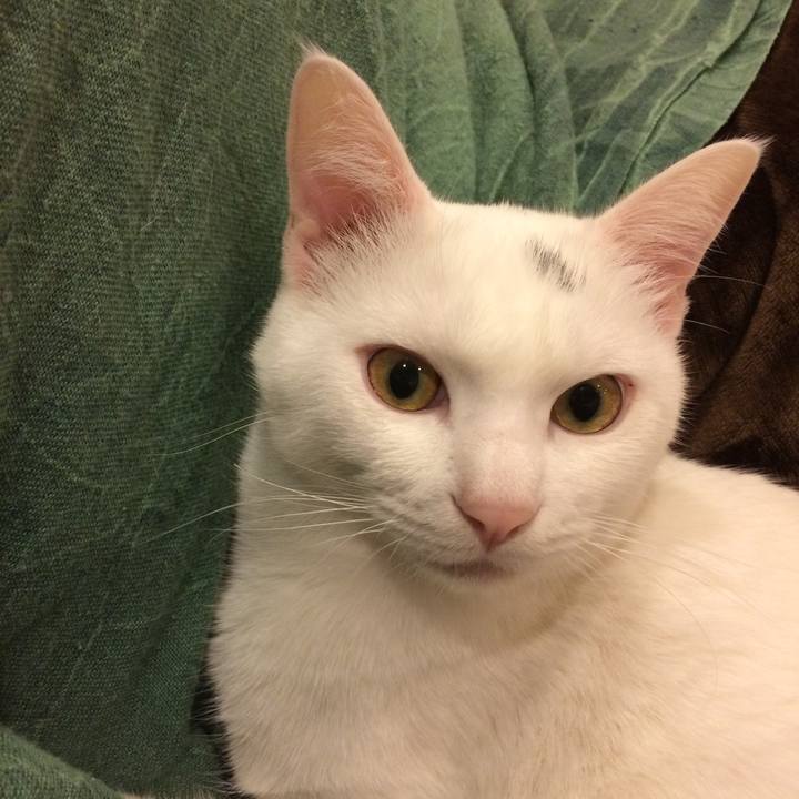 66228197 8c1a 4c94 8966 2c443d956618