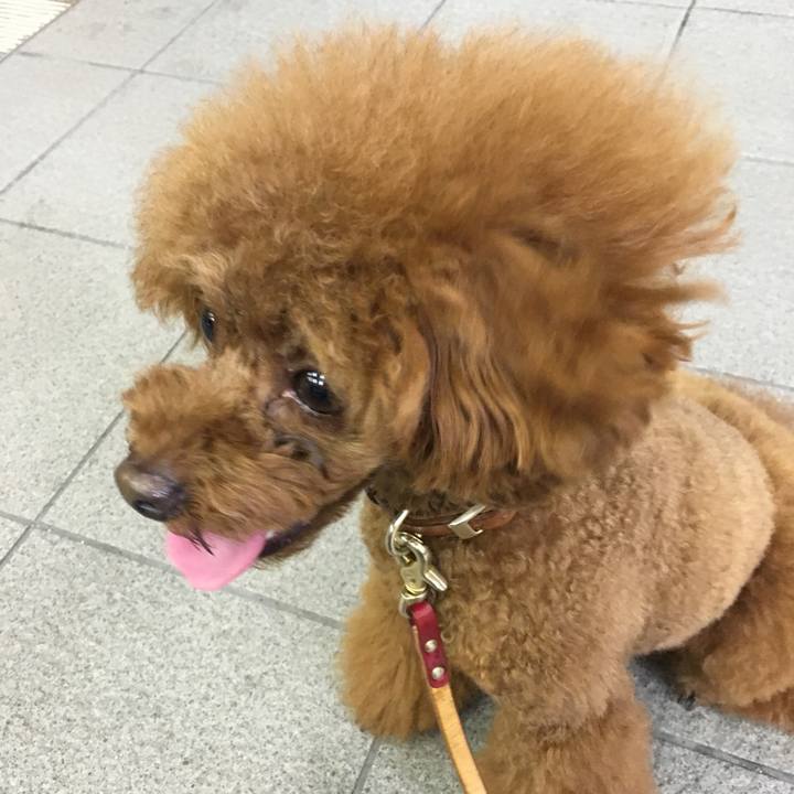 6622e4a4 a846 4c4e bd82 e0f5f22e4591