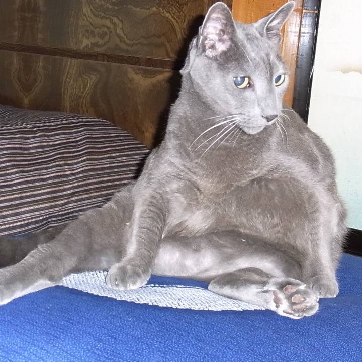 66232e6b f85e 4785 915f 5606aef3568c