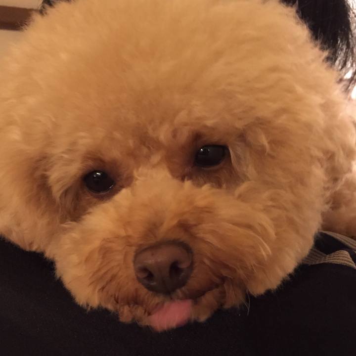 662380a3 f707 420c 8e87 19e757b4abae