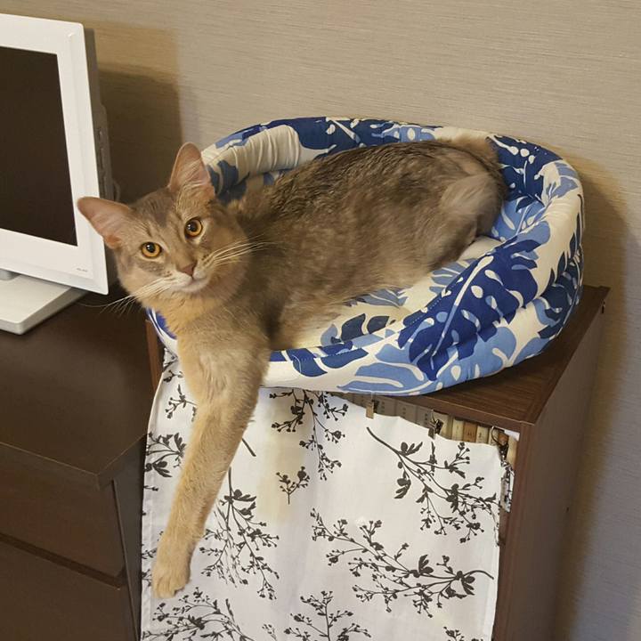 66242c80 50b2 4776 a4b6 a748c6ba9a7e