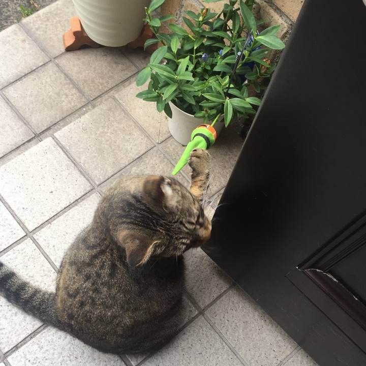 6625990a b3c5 4fd9 86b1 5555c78158f7