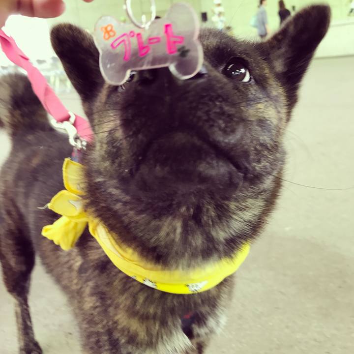 662653df c0c4 45d1 823d f818f2c396c3