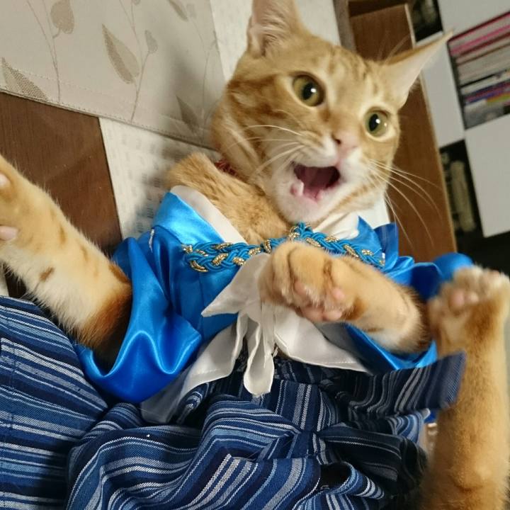 66265a8f 2db0 458a b998 b73fa02ace43