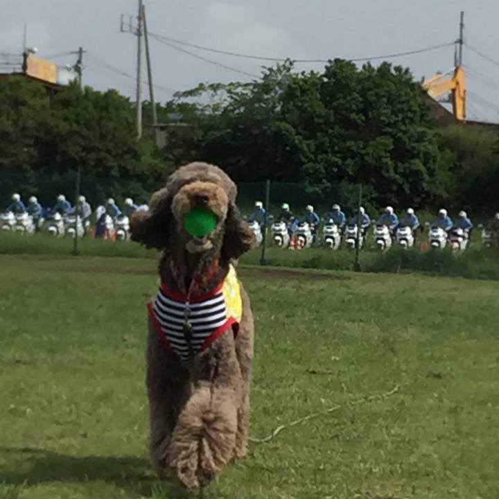 6626e88c 38f2 4e09 842c 4dbd2bb83e66