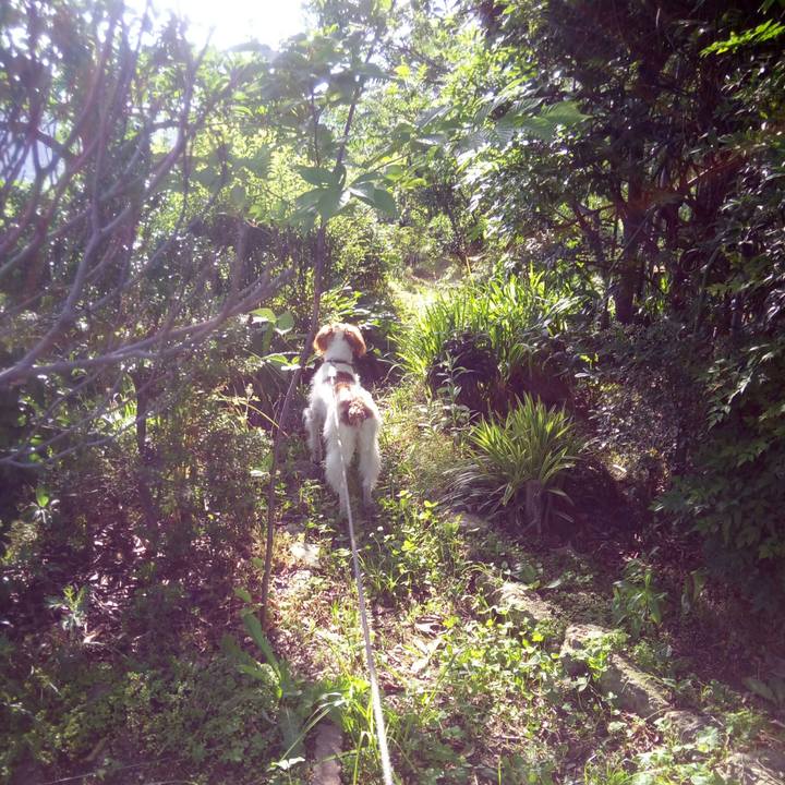 662731ef b5bc 45b2 b800 17a369786cf0